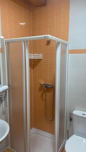 a bathroom with a shower and a toilet at Nido 33 in Ribadeo