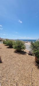 a row of bushes sitting on top of a beach at MaKarLi Blu in St. Helena Bay