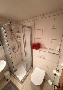 a bathroom with a shower and a toilet at Ferienhaus Niederbichler in Gnesau