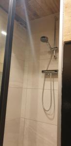 a shower with a shower head in a bathroom at La petite romantique in Martelange +15 photos