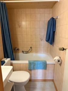 a bathroom with a toilet and a bath tub at Gemütliches Studio im Zentrum in Evolène +35 photos
