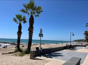 two palm trees on a beach next to the ocean at Frontal con vistas in Benicàssim