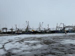 a group of boats are docked in a harbor at Villa Meeresglück in Dornum