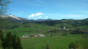 a green valley with houses and mountains in the background at Zu-Haus in Peterdorf