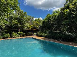 a large swimming pool in a yard with trees at Ikweta Safari Camp in Kinna