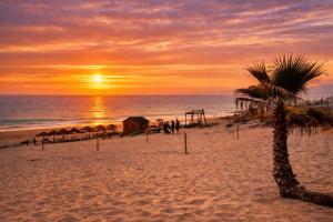 a sunset on a beach with a palm tree at Lo Exclusive Lisboa - Apartament with terrace and golf view in Charneca