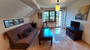 a living room with a couch and a tv at Tulin in Wetlina