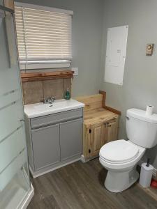 a bathroom with a toilet and a sink at Oakhill Oasis guest house in Moores Mills +3 photos