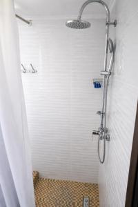 a bathroom with a shower with a glass door at Casa de vacanta Naty in Colibiţa +18 photos