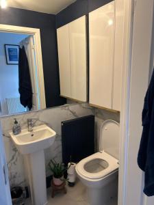 a bathroom with a white toilet and a sink at Swansea Waterfront in Swansea