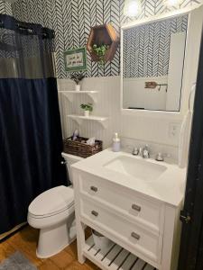 a bathroom with a sink and a toilet and a mirror at Cozy Cabin 2 beds Mtn view in Franklin +85 photos