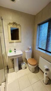 a bathroom with a sink and a toilet and a mirror at BALLYHOURA, Kildorrery, Beautiful 5 bed quite convenient location in Kildorrery +11 photos