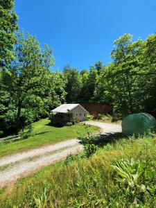 a building in a field next to a dirt road at Cozy Cabin 2 beds Mtn view in Franklin