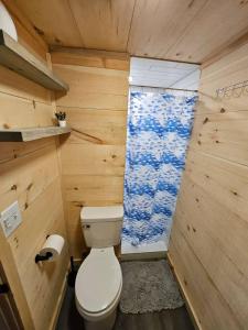 a small bathroom with a toilet and a shower curtain at Tiny Home Big View! in Franklin +28 photos