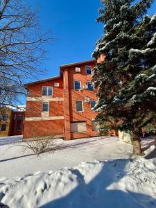 a house in the snow next to a tree at Perlos Apartamentai 12 in Birštonas