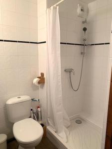 a bathroom with a toilet and a shower at Studio Brides les bains in Brides-les-Bains