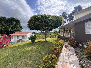 a house with a yard with a tree and flowers at Casa de campo El Bonao in Higuey