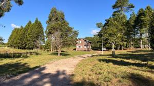 a dirt road leading to a house in the woods at Morada das Estrelas in Cambará