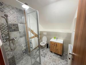 a bathroom with a shower and a toilet and a sink at Krušnohorský Poutník in Kovářská +25 photos