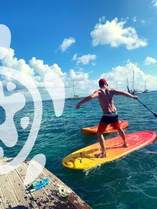 a man standing on a paddle board in the water at Aqua Lodge, Les Saintes, Terre de Haut, Guadeloupe in Terre-de-Haut
