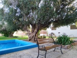 a bench next to a tree and a pool at Casona El Olivo in Villa Krause
