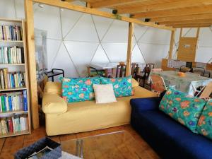 a living room with a couch and a book shelf at Agriturismo Glamping Erbe Matte in SantʼAntìoco