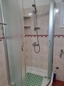 a shower with a glass door in a bathroom at Apartmani Barba Sevid in Sevid +24 photos