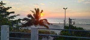 a palm tree on the beach at sunset at Adam's Heaven in Alleppey