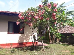 Gallery image of Pradeepa house in Unawatuna