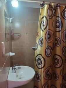 a bathroom with a sink and a shower curtain at Amanecer en Cuyo in San Rafael +14 photos