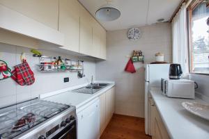 a small kitchen with a sink and a refrigerator at Modernist Chalet in Borca di Cadore