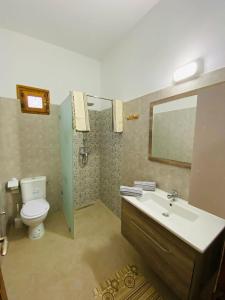 a bathroom with a toilet and a sink and a mirror at Maison Bohème Suite Noura in Midoun +15 photos
