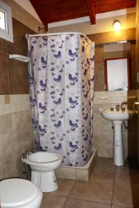 un bagno con un water, un lavandino e una tenda da doccia di Las Victorias 3 a San Carlos de Bariloche