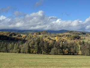 a green field with trees in the background at Apartmán Adam in Dolní Moravice
