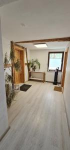 an empty room with potted plants on the walls at Pension am Bach Nice Dreamis in Fuldatal