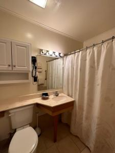 a bathroom with a toilet and a sink and a mirror at Wildwood on the Lake in Lake Placid +44 photos