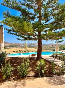 a pine tree next to a swimming pool at Paros Tranquility Villa in Dhragoulás +33 photos