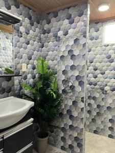 a bathroom with a shower and a sink and a plant at La Dorada in Barra del Chuy