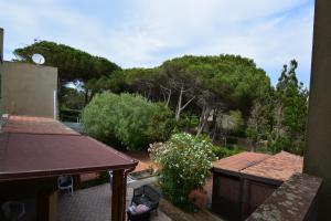 a view of a garden with trees and bushes at Fidelica in Stintino