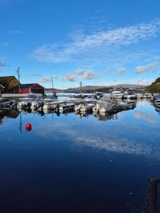 a marina with boats parked in the water at Salhusvegen in Bergen +2 photos