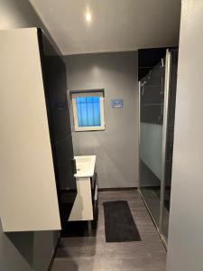 a bathroom with a sink and a shower at Chambre indépendante 1 lit 2 pers maison calme in Romans-sur-Isère