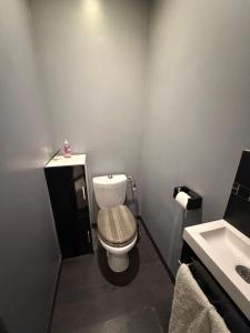 a bathroom with a toilet and a sink at Chambre indépendante 1 lit 2 pers maison calme in Romans-sur-Isère