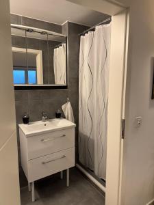 a bathroom with a sink and a shower curtain at Premium Apartment near Cologne in Hürth