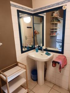 a bathroom with a sink and a mirror at Chambre cosy avec piscine in Saint-Benoît