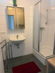 a bathroom with a sink and a shower at Ruhige Wohnung in Linz