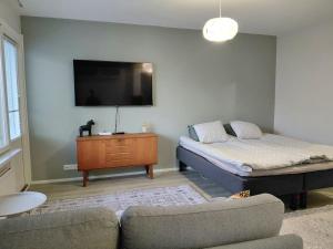 a living room with a bed and a couch and a tv at Cozy studio near the train station in Lappeenranta