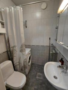 a small bathroom with a toilet and a sink at Cozy studio near the train station in Lappeenranta