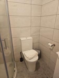 a bathroom with a white toilet and a shower at Mini studio apartment in Tulla