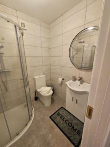 a bathroom with a toilet and a sink and a shower at Mini studio apartment in Tulla