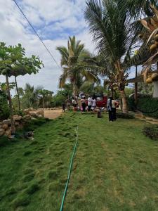 a group of people standing in a field with a kite at Hospedaje Máncora in Máncora